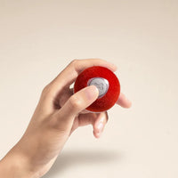 Interactive Play Ball for Dogs & Cats