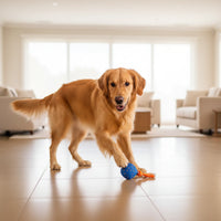 Interactive Play Ball for Dogs & Cats