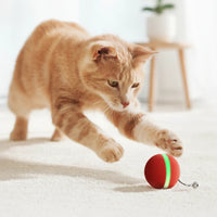 Interactive Play Ball for Dogs & Cats