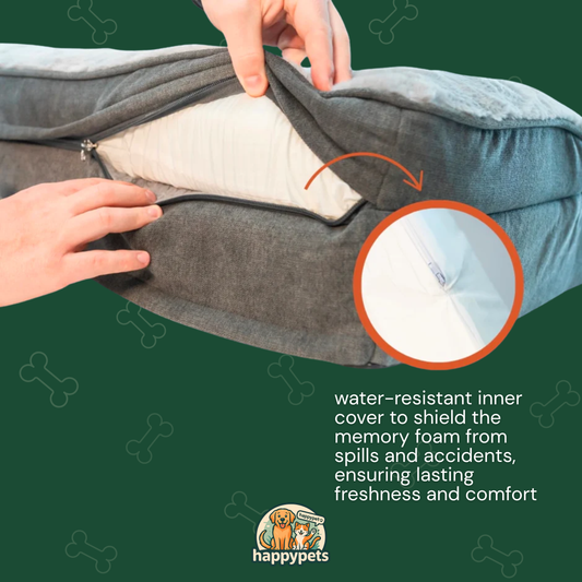 Why Every Pet Deserves a HappyPets Orthopedic Bed (Not Just a Regular Cushion)