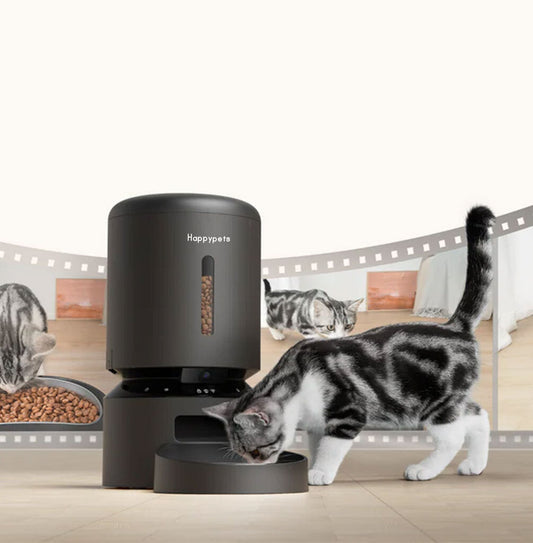 Why Every Home Needs a Smart Pet Feeder? | HappyPets