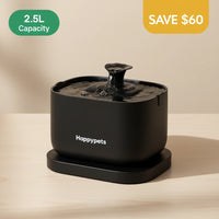 Smart Water Fountains For Pets | App Control | New Year Sale
