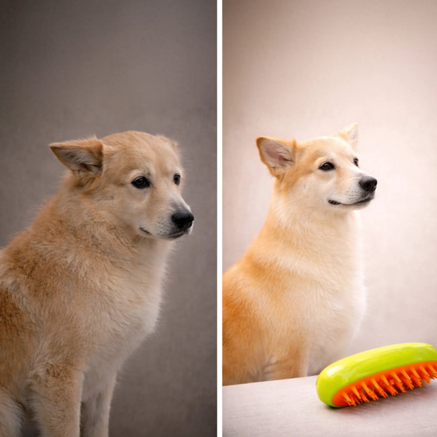 HappyPets™ Rechargeable 3-in-1 Mist Grooming Brush