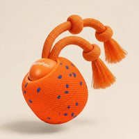 Interactive Play Ball for Dogs & Cats