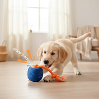 Interactive Play Ball for Dogs & Cats
