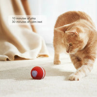 Interactive Play Ball for Dogs & Cats