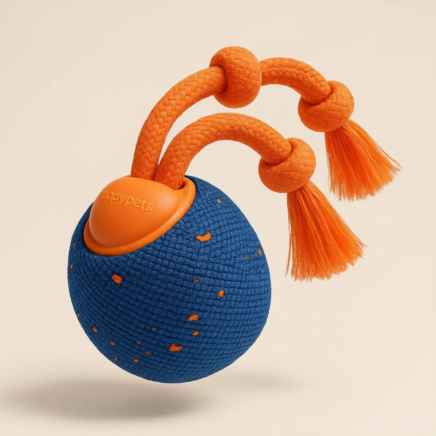 Interactive Play Ball for Dogs & Cats